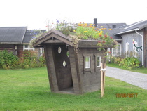 Kukkia Hulluporon mainoskopin katolla