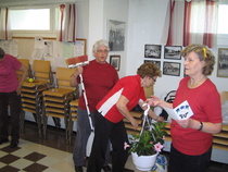 Kukkakori ohjaajalle